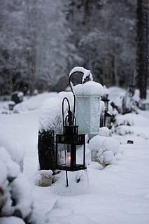 luce di applique nera, lampada, lanterna, all'aperto, la neve, inverno, natura, pupazzo di neve, lampione, ghiaccio, capi di abbigliamento, cappuccio, abbigliamento, mattone, pianta, fiorire, fiore, allium, mangiatoia per uccelli, lattina, può, temperatura fredda, Colore bianco, giorno, concentrarsi sulle conoscenze acquisite, nessuno, copertura, campo, struttura costruita, terra, architettura, strada, attrezzatura per l'illuminazione, albero, congelato, nevicando, 5K, CC0, dominio pubblico, privo di copyright