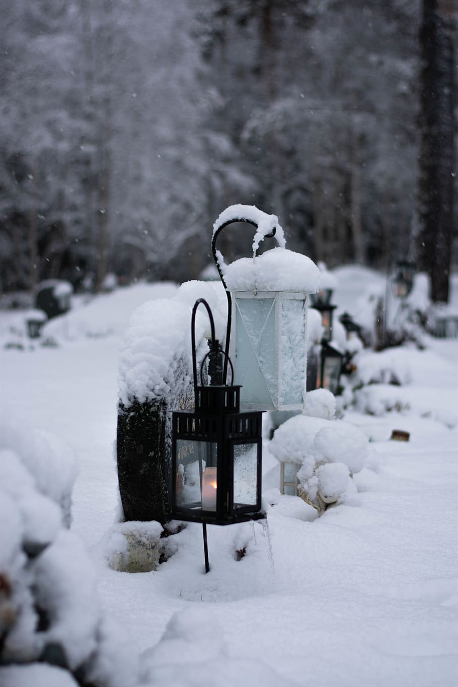 luce di applique nera, lampada, lanterna, all'aperto, la neve, inverno, natura, pupazzo di neve, lampione, ghiaccio, capi di abbigliamento, cappuccio, abbigliamento, mattone, pianta, fiorire, fiore, allium, mangiatoia per uccelli, lattina, può, temperatura fredda, Colore bianco, giorno, concentrarsi sulle conoscenze acquisite, nessuno, copertura, campo, struttura costruita, terra, architettura, strada, attrezzatura per l'illuminazione, albero, congelato, nevicando, 5K