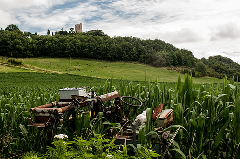 tractor, broken, rust, green, fields, leaves, trees, landscape, country, rural, plant, field, growth, land, green color, grass, agriculture, tree, nature, sky, rural scene, no people, day, crop, cloud - sky, environment, beauty in nature, agricultural machinery, farm, outdoors, deterioration, 4K, CC0, public domain, royalty free