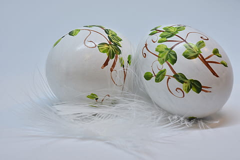easter, egg, easter eggs, painted, feather, fragility, holiday, white, close up, still life, tender, fragile, eggshell, handicraft, tinker, indoors, nature, studio shot, no people, plant, white background, water, transparent, leaf, plant part, fishbowl, food, close-up, glass - material, wellbeing, green color, freshness, white color, blue background, 5K, CC0, public domain, royalty free