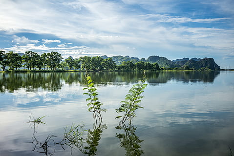 flod, træer, himmel, skyer, vand, afspejling, blå, grøn, klart, frisk, luft, sø, skønhed i naturen, ro, scenics - natur, sky - himmel, rolig scene, træ, plante, ingen mennesker, dag, ikke-urbane scene, natur, idyllisk, havnefronten, vækst, grøn farve, udendørs, refleksions søen, 5K, CC0, offentligt domæne, royaltyfrie