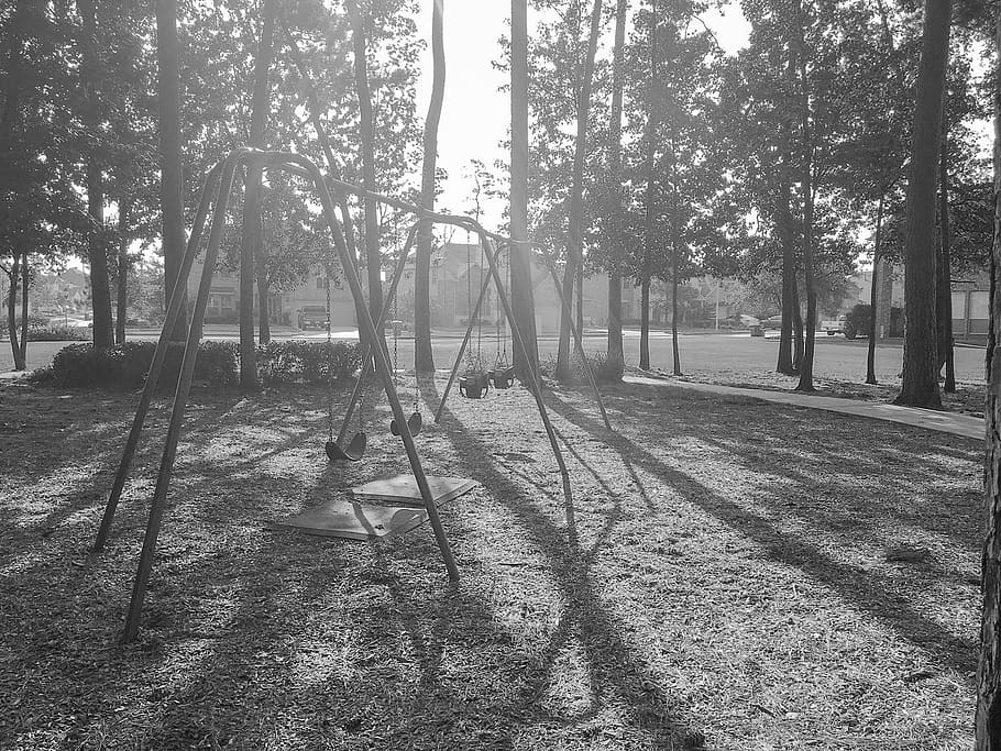Spielplatz, Schaukel, Park, Bäume, Schaukeln, Spielset, Baum, Pflanze, Sonnenlicht, Natur, Wachstum, Land, Tag, Schatten, Ruhe, Baumstamm, Wald, Kofferraum, keine Leute, Schönheit in der Natur, ruhige Szene, draußen, Landschaft, Nicht-städtische Szene, Szenen - Natur, Streaming, 1080P