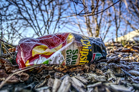 chipsuri, sac, gunoi, murdărie, deşeuri, poluare, afară, mulci, lemn, dispoziție, murdar, cer, albastru, copaci, estetic, hdr, gamă dinamică mare, contrast, îngheţat, îngheţ, cristale, deșeuri de plastic, copac, zi, natură, nici o persoana, selectiv, comunicare, text, plantă, arbore gol, a închide, teren, în aer liber, ramură, western script, uscat, camp, să se concentreze asupra primelor elemente, semn, parte a plantelor, textil, 5K, CC0, domeniu public, fără drepturi de autor