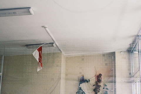 ceiling, daylight, flag, ceiling, daylight, flag, glass, glass items, glass window, indoors, inside, interior, interior design, lights, room, wall, window, hanging, real people, people, men, group of people, glass - material, transparent, architecture, patriotism, adult, reflection, day, wall - building feature, women, lifestyles, built structure, textile, 2K, CC0, public domain, royalty free