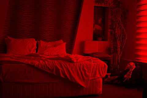 leeren, Weiß, Bett, Innerhalb, Zimmer, rot, Möbel, Wohnraum, Schlafzimmer, drinnen, Kissen, Abwesenheit, Textil-, Vorhang, Wohngebäude, keine Leute, Fenster, ausgestopft, Leinen-, die Architektur, Polster, Gebäude, gebaute Struktur, Entspannung, Blatt, gemütlich, Bettdecke, 5K, CC0, gemeinfrei, lizenzfrei