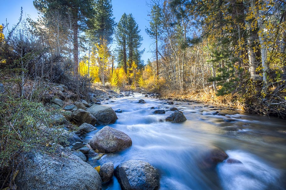 naturskøn, udsigt, træer, Skov, flyde, natur, klipper, strøm, vand, træ, plante, skønhed i naturen, flydende vand, jord, ro, klippe, scenics - natur, solid, rock-objekt, bevægelse, flyder, ingen mennesker, downloading, rolig scene, ikke-urbane scene, strøm - rindende vand, udendørs, 1080P