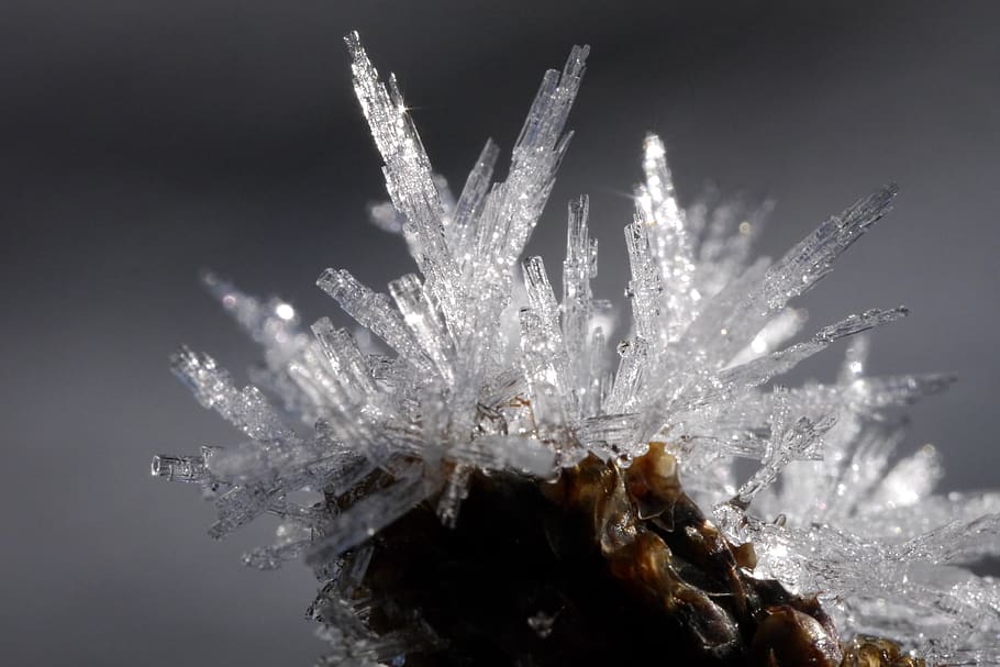 Eis, eiskristalle, Winter, kalt, Kristall, Nahansicht, Makro, Kristallbildung, gefroren, keine Leute, Natur, kalte Temperatur, Pflanze, Studioaufnahme, Schönheit in der Natur, Wasser, Zerbrechlichkeit, Schnee, Fokus auf den Vordergrund, Wachstum, draußen, Verletzlichkeit, schwarzer Hintergrund, Blume, 4K
