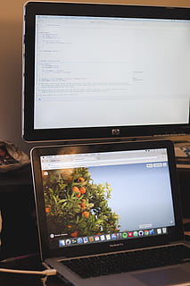 Desktop, Web Entwicklung, Kodierung, Computer, Arbeit, Technologie, Verbindung, Kommunikation, kabellose Technologie, drinnen, Bildschirm, digitale Tablette, keine Leute, Text, Tabelle, Nahansicht, Gerätebildschirm, tragbares Informationsgerät, Internet, westliche Schrift, Computernetzwerk, Pflanze, Computerausrüstung, Berührungsempfindlicher Bildschirm, 4K, CC0, gemeinfrei, lizenzfrei