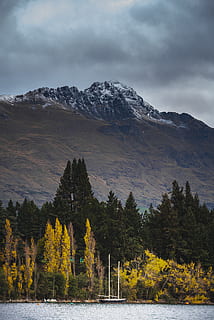muntanya, envoltat, pins, arbre, naturalesa, bosc, Nova Zelanda, queenstown, paisatge, flora, conífera, planta, llac, vaixell, vaixell de vela, làrix, pic, Serra, a l'aire lliure, gris, fred, bellesa a la natura, escenics - natura, cel, aigua, núvol - cel, escena tranquil·la, tranquil·litat, escena no urbana, cap gent, dia, idíl·lic, davant del mar, 5K, CC0, domini públic, lliure de regalies