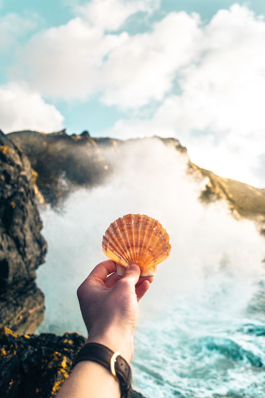 cloïssa, shell, mà, braç, veure, mar, oceà, aigua, onades, naturalesa, a l'aire lliure, roques, Costa, muntanya, núvols, cel, mà humana, celebració, una persona, persones reals, núvol - cel, part del cos humà, dia, perspectiva personal, rock, estils de vida, persona irreconeixible, closca d’animals, fauna animal, bellesa a la natura, part del cos, dit, 4K