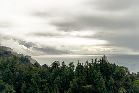 Landschaft, Baum, Pflanze, abies, Tanne, big sur, Nadelbaum, Vereinigte Staaten von Amerika, Big Sur Küste, Kiefer, Fichte, Küstenlinie, Fahrt, Berge, Kalifornien, zentrale Küste, Bäume und Meer, ca, Ozean, Morgen, Bäume, wolke - himmel, Schönheit in der Natur, Szenen - Natur, Himmel, ruhige Szene, Ruhe, Nicht-städtische Szene, Wald, Wasser, Natur, keine Leute, Tag, Land, idyllisch, Umgebung, Wachstum, Nebel, draußen, Kiefernwald, 5K, CC0, gemeinfrei, lizenzfrei