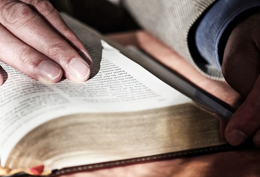 llegir, estudiar, llibre, educació, religió, mà humana, part del cos humà, mà, una persona, part del cos, persones reals, publicació, primer pla, lectura, paper, dit humà, celebració, dit, a l'interior, persona irreconeixible, activitat, homes, estils de vida, extremitat humana, 4K