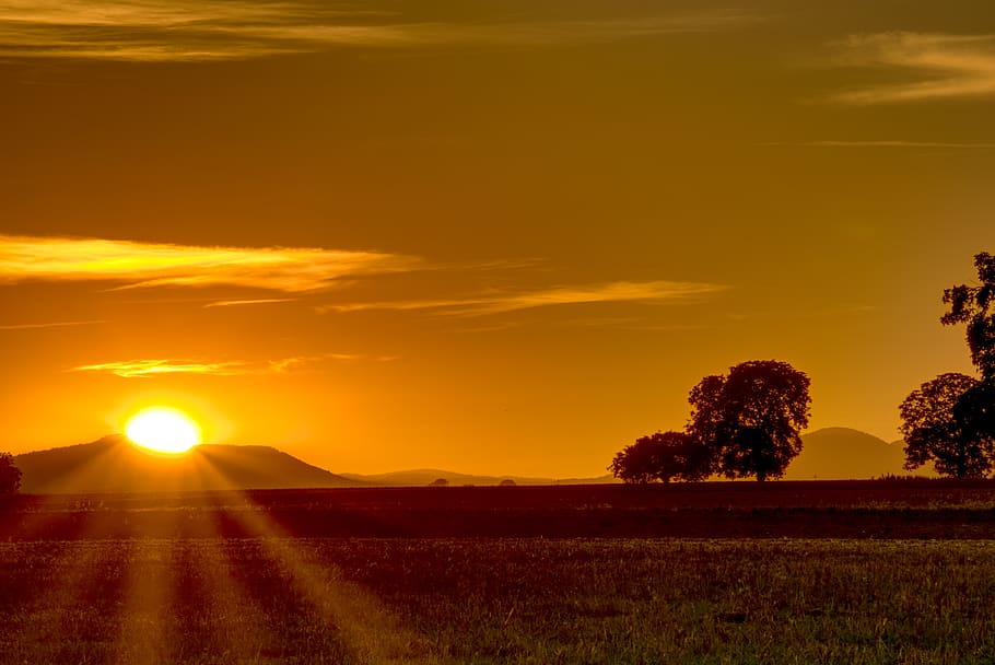tramonto, sole, stella leggera, alberi, natura, umore, cielo, paesaggio, crepuscolo, nuvole, abendstimmung, romantico, riposo, rosso, sera, arancia, illuminazione, ultimi bagliori, hdr, ampia gamma dinamica, contrasto, scenics - natura, bellezza nella natura, scena tranquilla, la tranquillità, ambiente, nuvola - cielo, colore arancione, pianta, albero, terra, campo, idilliaco, nessuno, luce del sole, scena non urbana, all'aperto, 5K