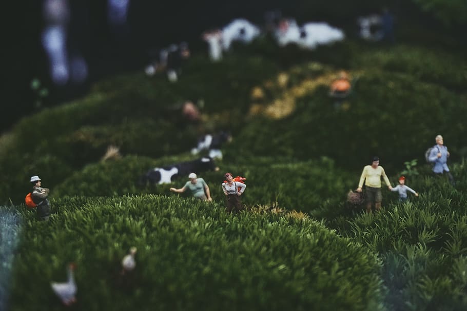 mini, legetøj, scene, græs, plante, Mark, grøn farve, selektiv fokusering, jord, natur, dag, vækst, ingen mennesker, udendørs, skønhed i naturen, landskab, parkere, ro, park - mand skabt plads, friskhed, scenics - natur, 4K