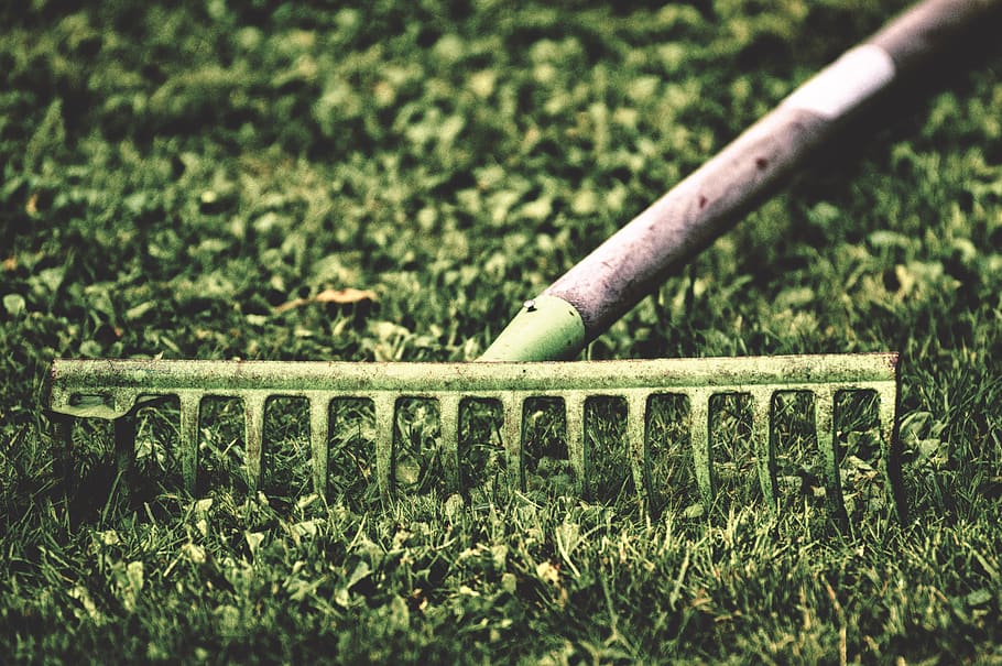 informàtica, jardí, treballar, jardineria, naturalesa, equips de jardineria, placa frontal, ratllar les fulles, planta, dia, cap gent, color verd, enfocament selectiu, herba, creixement, a l'aire lliure, primer pla, natura morta, camp, centrar-se en primer pla, terra, metall, sol objecte, eina de treball, equipament, davant o pati del darrere, nivell superficial, 5K