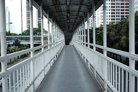 ponte bianco, corrimano, ringhiera, macchina, rampa, modo, strada, corridoio, veranda, metropoli, città, cittadina, costruzione, urbano, passerella, sentiero, cavalcavia, terrazza, pergola, all'aperto, architettura, struttura costruita, ponte, connessione, ponte - struttura fatta dall'uomo, prospettiva decrescente, direzione, esterno dell'edificio, mezzi di trasporto, la strada davanti, nessuno, natura, albero, punto di fuga, giorno, pianta, edificio per uffici esterno, acciaio, lega, lungo, 4K, CC0, dominio pubblico, privo di copyright