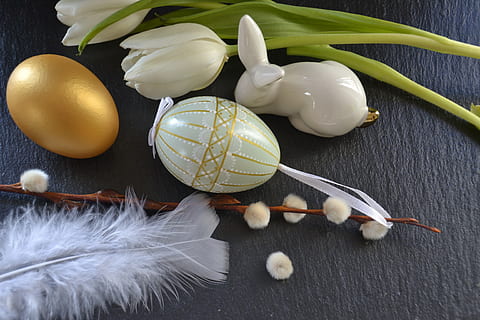 Lieldienas, deco, apdare, Lieldienu zaķis, pavasarī, Lieldienu tēma, Lieldienu olas, Lieldienu ola, zaķis, tulpes, Lieldienu dekori, zelts, balts, spalvu, palmu kaķēns, Klusā daba, telpās, tabula, nav cilvēku, augsts leņķa skats, tuvplāns, svaigumu, ēdiens, pārtika un dzērieni, augu, zieds, ziedēšanas augs, raksturs, balta krāsa, brīvdienas, svinības, tieši iepriekš, ola, 4K, CC0, publiskais domēns, bez atlīdzības