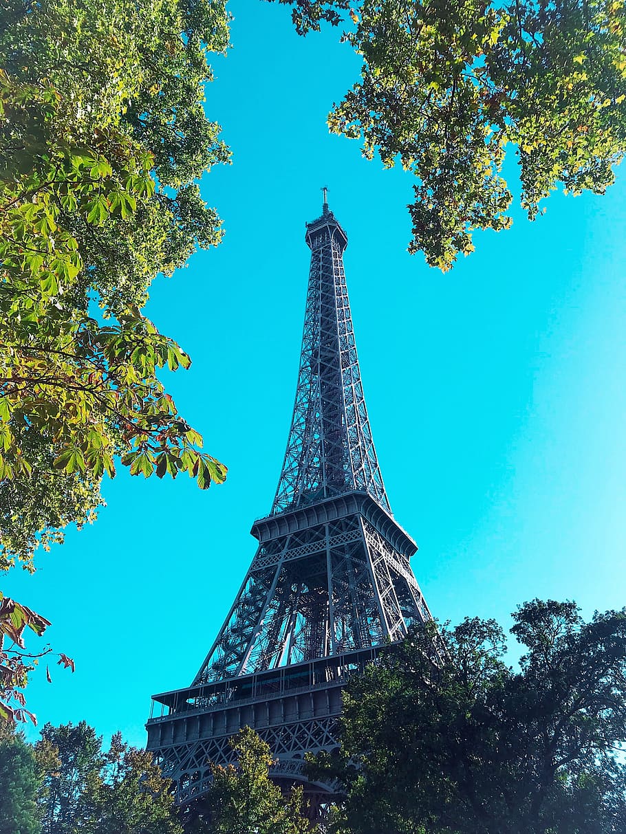 Torre Eiffel, París, arquitectura, edifici, Torre Eiffel, alt, referència, tir en angle baix, paris, perspectiva, torre, tradicional, imatges de domini públic, arbre, planta, alta - alta, estructura construïda, vista d’angle baix, cel, destinacions de viatge, naturalesa, ciutat, història, el passat, turisme, viatjar, dia, exterior de l'edifici, metall, cap gent, a l'aire lliure, fletxa, ferro - metall, gratacels, 4K