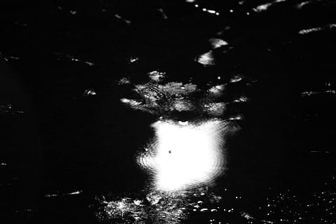 regn, pudle refleksion, nat, en person, vand, natur, udendørs, afspejling, mørk, træ, belyst, uigenkendelig person, livsstil, rigtige mennesker, fritidsaktivitet, silhuet, et dyr, lav vinkel visning, 4K, CC0, offentligt domæne, royaltyfrie