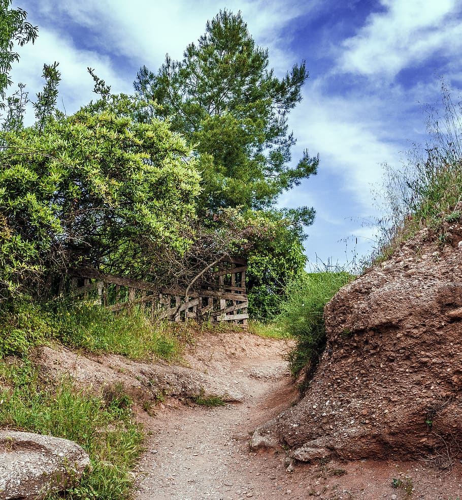 sentiero, rurale, paesaggio, alberi, pista, foresta, campo, nazione, natura, estate, cielo, calma, calmati, nuvole, pianta, albero, nuvola - cielo, crescita, la tranquillità, terra, bellezza nella natura, sporco, colore verde, giorno, nessuno, scena tranquilla, direzione, strada sterrata, ambiente, all'aperto, 2K