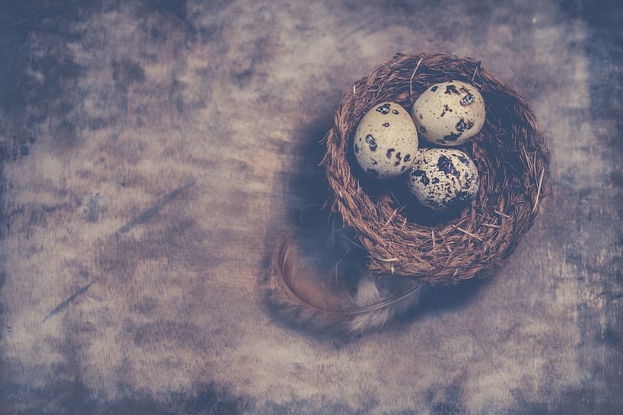 fotografie de aproape, oua de prepelita, cuib, cuib de pasăre, a închide, ouă, eggshell, pană, coajă, mic, textură, natură moartă, nici o persoana, decor, vacanţă, lemn - material, celebrare, în interior, masa, glob de Craciun, artă și sculptură, emoţie, ambarcațiune, vedere în unghi mare, Crăciun ornament, maro, Crăciun, creativitate, textil, antic, 4K