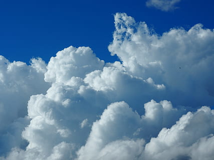 skyer, cumulus, himmel, sky - himmel, skønhed i naturen, baggrunde, scenics - natur, cloudscape, blå, atmosfære, natur, ingen mennesker, hvid farve, ro, miljø, rolig scene, idyllisk, fluffy, overskyet, sollys, vind, udendørs, blødhed, meteorologi, klima, ren, 4K, CC0, offentligt domæne, royaltyfrie