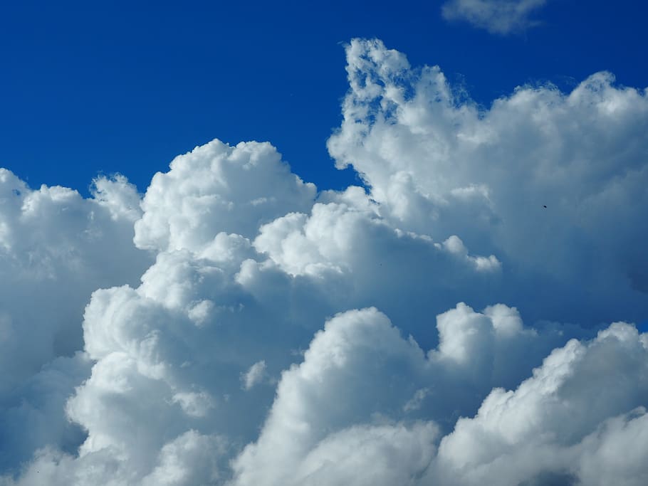 skyer, cumulus, himmel, sky - himmel, skønhed i naturen, baggrunde, scenics - natur, cloudscape, blå, atmosfære, natur, ingen mennesker, hvid farve, ro, miljø, rolig scene, idyllisk, fluffy, overskyet, sollys, vind, udendørs, blødhed, meteorologi, klima, ren, 4K