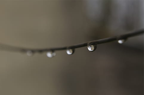 Wasser, Tropfen, Draht, fallen, nass, Nahansicht, selektiver Fokus, keine Leute, Regen, Fokus auf den Vordergrund, Natur, Reinheit, Tau, Schönheit in der Natur, Pflanze, Verletzlichkeit, Regentropfen, Zerbrechlichkeit, Frische, draußen, Regenzeit, Grashalm, 1080P, CC0, gemeinfrei, lizenzfrei