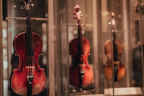 brown violin, musical instrument, music, string instrument, violin, arts culture and entertainment, musical equipment, no people, string, indoors, store, guitar, musical instrument string, wood - material, creativity, retail, art and craft, hanging, close-up, day, performance, bow - musical equipment, double bass, 4K, CC0, public domain, royalty free