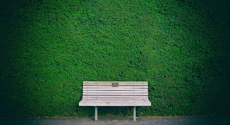 panchina, siepe, verde, Marrone, sfondo, posto a sedere, colore verde, pianta, parco, erba, vuoto, parco - spazio creato dall'uomo, assenza, natura, panchina del parco, campo, nessuno, terra, crescita, giorno, legno - materiale, rilassamento, all'aperto, vignetta, piattaforma, 2K
