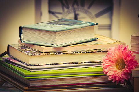 livres, pile de livres, temps, lis, Littérature, empilés, bibliothèque, Feuilleter, livre, publication, éducation, empiler, personne, table, à l'intérieur, fleur, fermer, nature morte, plante à fleurs, sagesse, papier, plante, se concentrer sur le premier plan, grand groupe d'objets, vieux, compétence, ouvrir, livre à couverture rigide, cahier de texte, 5K, CC0, domaine public, libre de droits
