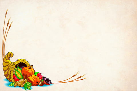 illustration, thanksgiving, themed, background, fall elements, elements., paper, card, cornucopia, harvest, abundance, abundant, vegetable, food, seasonal, november, fruit, fall, traditional, decorative, autumn, horn, produce, basket, october, holiday, blessing, wheat, cartoon, , food and drink, copy space, healthy eating, no people, indoors, studio shot, multi colored, celebration, still life, holiday - event, yellow, orange color, decoration, sweet food, art and craft, backgrounds, 2K, CC0, public domain, royalty free