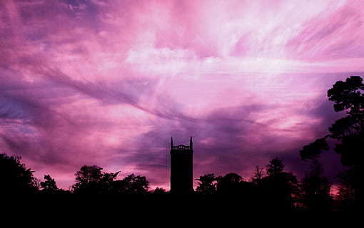 cielo, nubes, arboles, edificio, silueta, oscuro, puesta de sol, naturaleza, árbol, arquitectura, nube - cielo, exterior del edificio, planta, estructura construida, torre, color rosa, nadie, oscuridad, fábrica, belleza en la naturaleza, industria, al aire libre, cielo dramático, púrpura, 5K, CC0, dominio público, libre de derechos