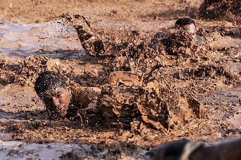 two, men, crawling, mud, america, army, basic training, competition, dirt, infantry, male, military, soldiers, usa, animals in the wild, mammal, animal wildlife, nature, no people, group of animals, water, outdoors, environment, day, safari, splashing, selective focus, 1080P, CC0, public domain, royalty free