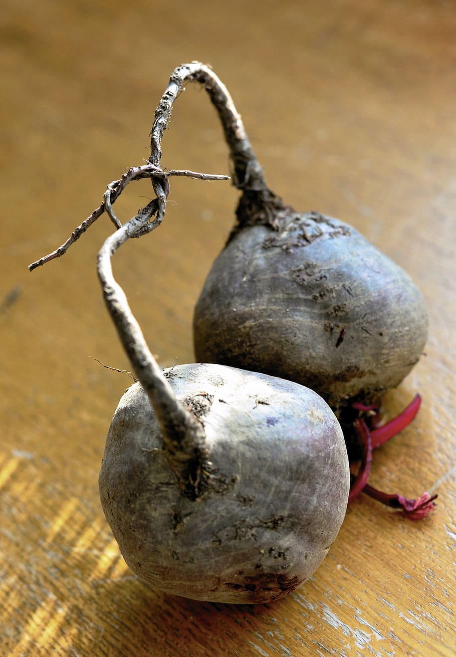 remolatxa, verdures, arrel, tubercle, saludable, nutrició, fresc, vitamines, menjar, vermell, bio, nap, vegà, salut, cuinar, ingredient, nus, dos, menjar i beguda, taula, primer pla, cap gent, benestar, vegetals, alimentació saludable, a l'interior, frescor, natura morta, centrar-se en primer pla, material de fusta, sol objecte, aliments crus, dos objectes, planta, naturalesa, part de la planta, dia, madur, 4K