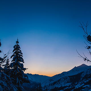 mountain during winter, tree, abies, conifer, fir, flora, plant, sky, france, pyrénées-orientales, dusk, sunset, landscape, nature, sunrise, mountain, snow, dark, blue, outdoors, dawn, winter, cold temperature, scenics - nature, beauty in nature, tranquil scene, tranquility, mountain range, environment, snowcapped mountain, no people, non-urban scene, pine tree, coniferous tree, 2K, CC0, public domain, royalty free