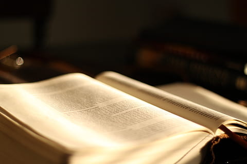 pagina del libro, studia, testo, Bibbia, resa dei conti, libro, raccoglitore di file, Bibbia vivente, luce del mattino, luce, lettura, diario, bevanda, cioccolata calda, cibo, bere, dolce, tazza, cioccolato, showdowns, pubblicazione, in casa, carta, apprendimento, formazione scolastica, avvicinamento, messa a fuoco selettiva, nessuno, natura morta, Aperto, pagina, giornale, attività, concentrarsi sulle conoscenze acquisite, studiando, 4K, CC0, dominio pubblico, privo di copyright