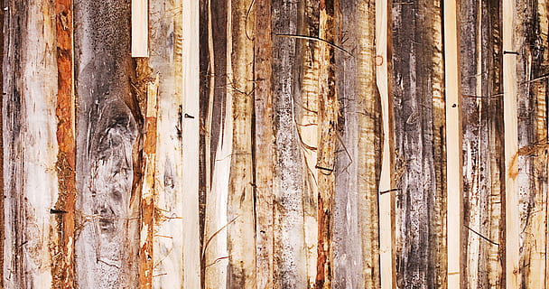 backdrop, background, board, brown, color, desk, exterior, material, pattern, plank, rough, sample, structure, surface, texture, textured, wood, wooden, wood - material, no people, forest, tree, land, plant, nature, tree trunk, day, trunk, full frame, outdoors, beauty in nature, woodland, scenics - nature, close-up, tranquility, sunlight, pine woodland, coniferous tree, 2K, CC0, public domain, royalty free