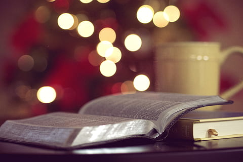 libri, lettura, studia, apprendimento, formazione scolastica, luci, sfocato, bokeh, pubblicazione, libro, Natale, vacanza, illuminato, nessuno, notte, celebrazione, avvicinamento, messa a fuoco selettiva, in casa, decorazione, defocused, albero di Natale, carta, luci di Natale, concentrarsi sulle conoscenze acquisite, nastro, singolo oggetto, 4K, CC0, dominio pubblico, privo di copyright
