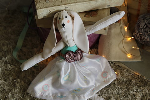 conill, diversió, joguina, Pasqua, bonic, animals, orelles, divertit, mascota, primavera, llebre, blanc, estimada, feliç, nen, representació humana, representació, celebració, cap gent, vista d’angle alt, a l'interior, decoració, art i artesania, semblança masculina, cinta, primer pla, festa, creativitat, natura morta, esdeveniment, naturalesa, planta, religió, cinta: objectes de cosir, 5K, CC0, domini públic, lliure de regalies