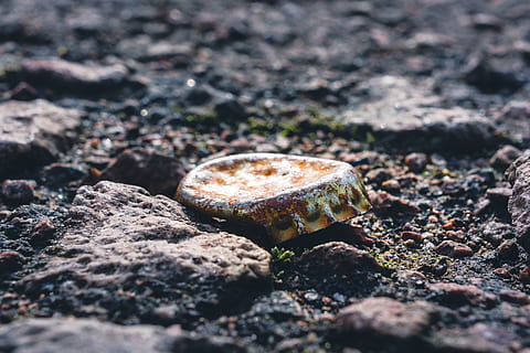 bottle caps, ground, old, rust, dents, beulen, time, stone, asphalt, bend, bent, durable, garbage, dirt, metal, sheet, corrosion, selective focus, day, solid, close-up, nature, rock, land, no people, rock - object, outdoors, textured, animal wildlife, field, animal, animals in the wild, single object, stone - object, animal themes, shell, one animal, 4K, CC0, public domain, royalty free