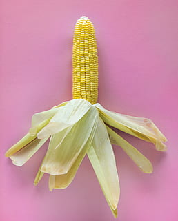giallo, Mais, sbucciare, rosa, tessile, sfondo, luminosa, delizioso, fresco, frutta, crescita, salutare, naturale, sfondo rosa, crudo, freschezza, in casa, avvicinamento, cibo e bevande, sfondo colorato, natura morta, girato in studio, cibo, verdura, nessuno, mangiare sano, cibo crudo, benessere, pianta, direttamente sopra, colore rosa, singolo oggetto, mais dolce, 4K, CC0, dominio pubblico, privo di copyright