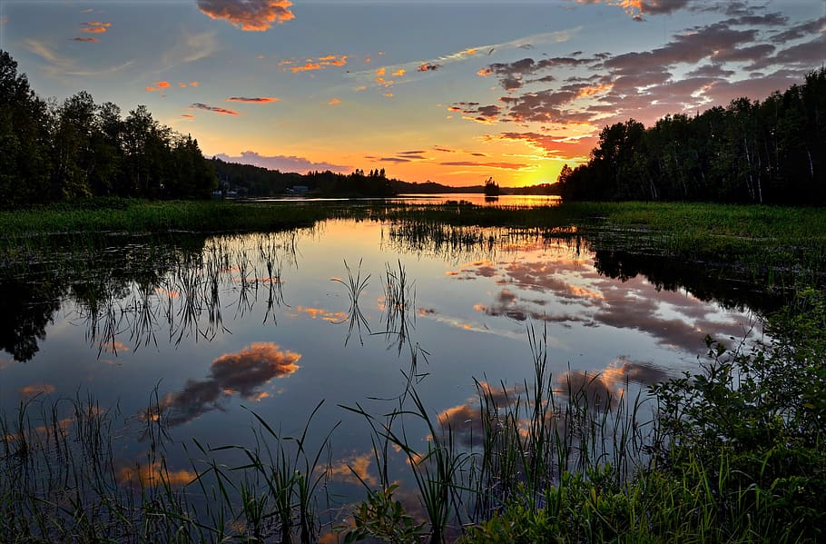 llac, taronja, posta de sol, núvols, alba, herba, idíl·lic, naturalesa, reflexió, escènic, cel, sortida del sol, tranquil, arbres, aigua, escenics - natura, núvol - cel, bellesa a la natura, planta, escena tranquil·la, tranquil·litat, color taronja, escena no urbana, arbre, cap gent, creixement, a l'aire lliure, 5K