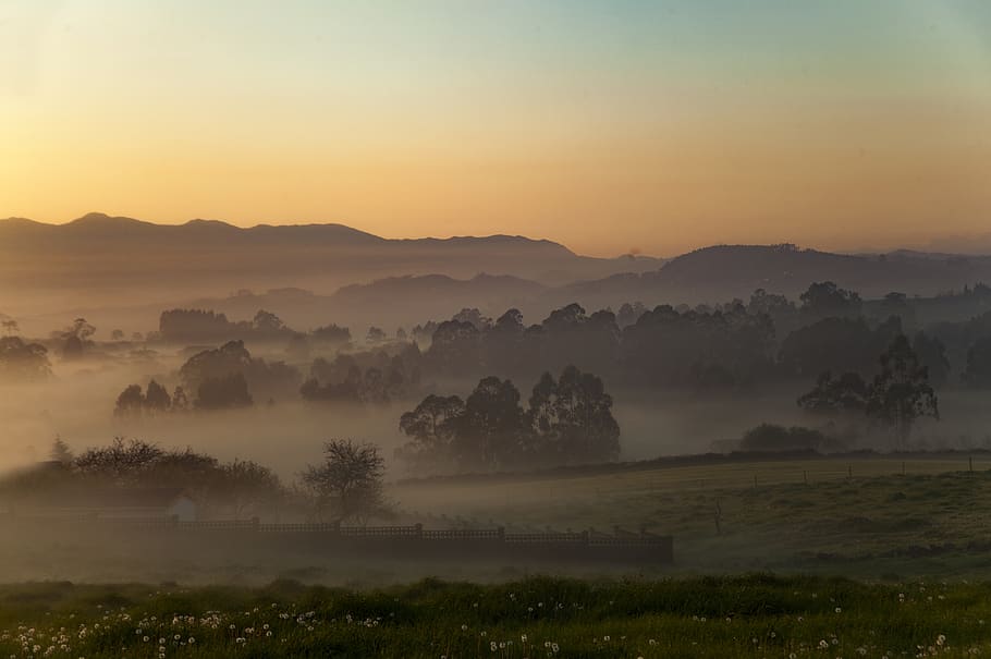 Nebelwald, Natur, draußen, Wetter, Nebel, Sonnenaufgang, Himmel, Berge, Bäume, Land, Landschaft, Sonnenuntergang, roter Himmel, Dämmerung, Berg, Gebirge, Niederländisch, Tanne, Schönheit in der Natur, Szenen - Natur, Ruhe, ruhige Szene, Umgebung, dunstig, Baum, Pflanze, idyllisch, keine Leute, Nicht-städtische Szene, Fernbedienung, ländliche Szene, 5K