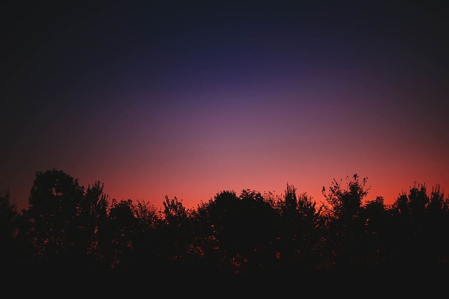 posta de sol, alba, arbres, bosc, cel, clar, pàl·lid, vermell, taronja, violeta, blau, obert, arbre, planta, bellesa a la natura, tranquil·litat, escena tranquil·la, escenics - natura, silueta, creixement, naturalesa, cap gent, color taronja, idíl·lic, escena no urbana, a l'aire lliure, còpia espai, medi ambient, fosc, 4K