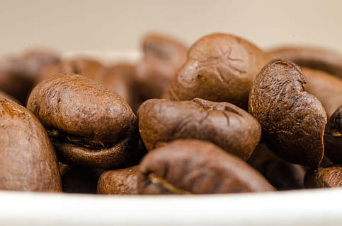bruna kaffebönor, arom, bakgrund, sats, bönor, brun, koffein, närbild, kaffebönor, friskhet, korn, makrofotografi, ingen, rå, frön, textur, mat och dryck, mat, selektiv fokusering, inget folk, inomhus, fortfarande liv, mellanmål, välbefinnande, stor grupp av objekt, äta nyttigt, grupp av objekt, fokusera på förgrunden, studio skott, flathet, överflöd, kaffe, högen, 4K, CC0, offentligt domän, royaltyfria