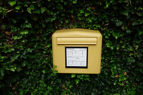 buzón, buzones, enviar, buzón de correo, publicar einwurf, planta, comunicación, color verde, nadie, crecimiento, texto, parte de la planta, naturaleza, hoja, día, amarillo, escritura occidental, de cerca, árbol, al aire libre, hiedra, firmar, pared - característica de la construcción, correo, mensaje, 5K, CC0, dominio público, libre de derechos