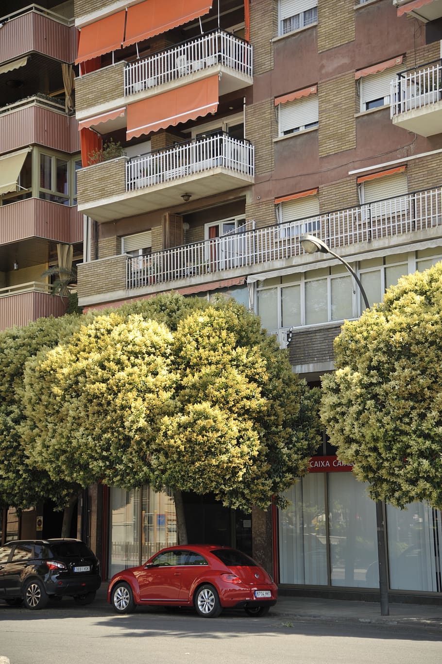 espanya, lleida, vermell, hause, edifici, espana, arbres, Volkswagen, hipster, balcó, paisatge urbà, vw, ciutat, arquitectura, estructura construïda, exterior de l'edifici, transport, manera de transport, automòbil, arbre, cotxe, vehicle terrestre, planta, dia, cap gent, barri residencial, carrer, a l'aire lliure, finestra, naturalesa, apartament, 4K
