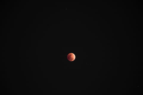 photography, blue, moon, astronomy, dark, eclipse, full moon, luna, lunar, night, phenomenon, scenic, space, sphere, sky, beauty in nature, scenics - nature, tranquil scene, copy space, no people, nature, natural phenomenon, idyllic, majestic, tranquility, low angle view, outdoors, astrology, planetary moon, space and astronomy, moonlight, 4K, CC0, public domain, royalty free