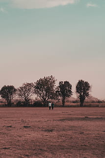 cinq, noir, des arbres, bleu, ciel, des nuages, lumière du jour, paysage, la nature, personnes, scénique, le coucher du soleil, arbre, plante, champ, terre, scène tranquille, une personne, tranquillité, paysages - nature, environnement, beauté dans la nature, toute la longueur, permanent, journée, Vrais gens, scène non urbaine, ciel clair, en plein air, 5K, CC0, domaine public, libre de droits